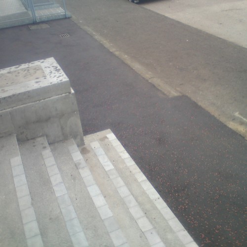 Driveways - DSC00340_1_f93e4670c070d12527a57c34a99b1733