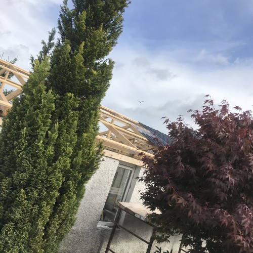 Residential  - E40A25F4-47BF-4261-BEAF-0E5342A6ED69_bee37756076a02f325643546c98bd6e5